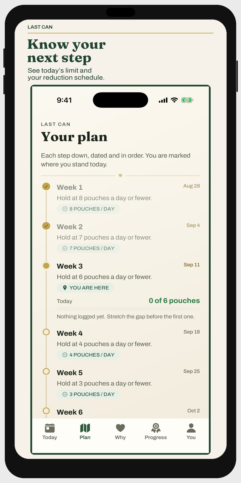 Plan screen with a week-by-week taper schedule
